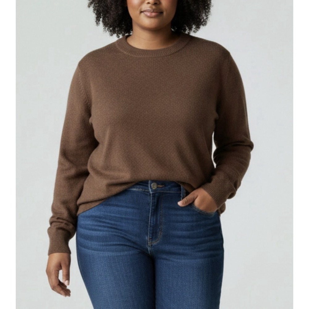 NWT Quince Brown Cashmere Crewneck Sweater 3X Plus Quiet Luxury Cozychic Soft